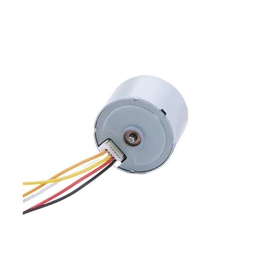 4500 rpm 12V 24V Small Brushless DC Motor