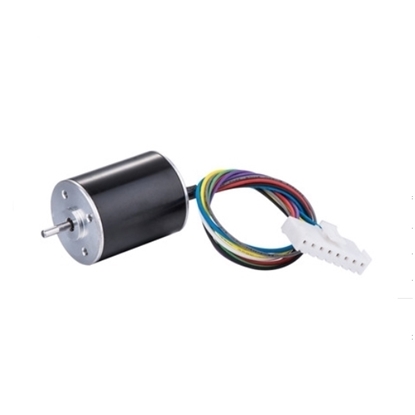 5000 rpm 12V 24V Small Brushless DC Motor