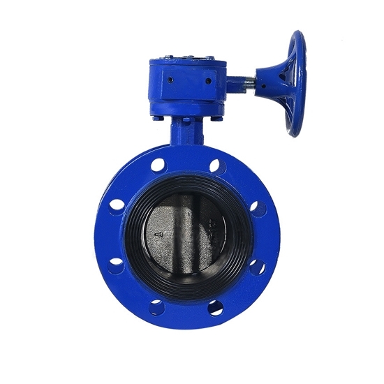 Double Flanged Butterfly Valve, 2