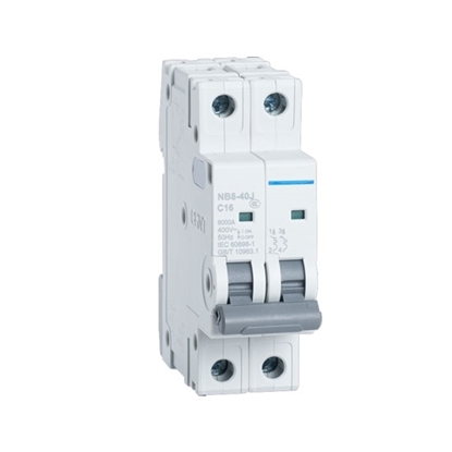 10 amp 2 pole Miniature Circuit Breaker