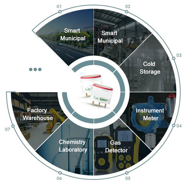 CH3OH gas sensor applications