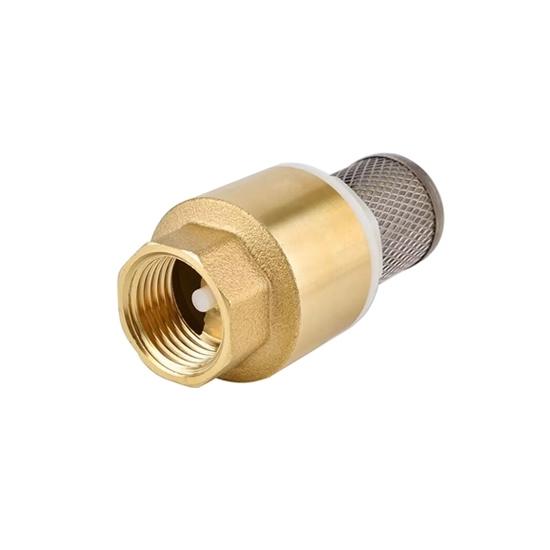 2 inch Brass Foot Valve for Water Pump