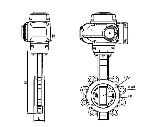 Butterfly valve construction